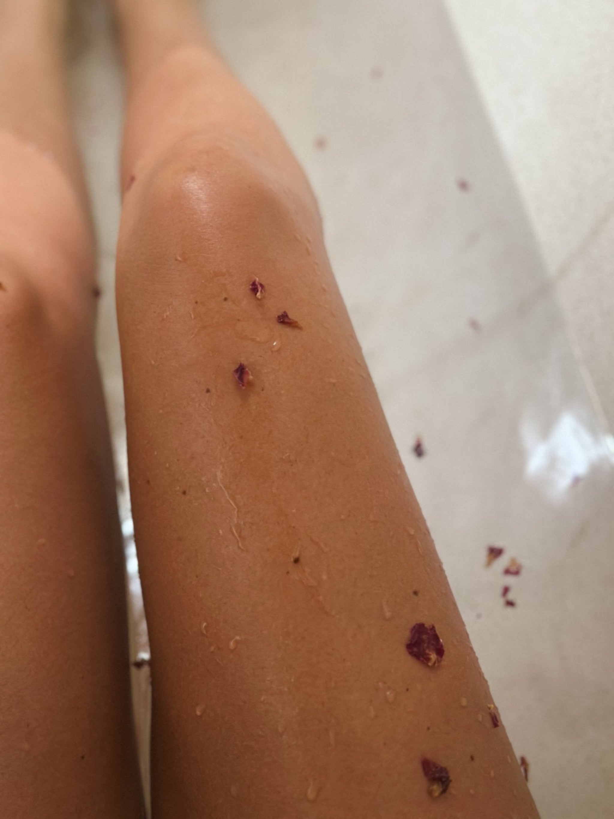 Persian Rose Oud Duo - Limited Release - L'RITUEL