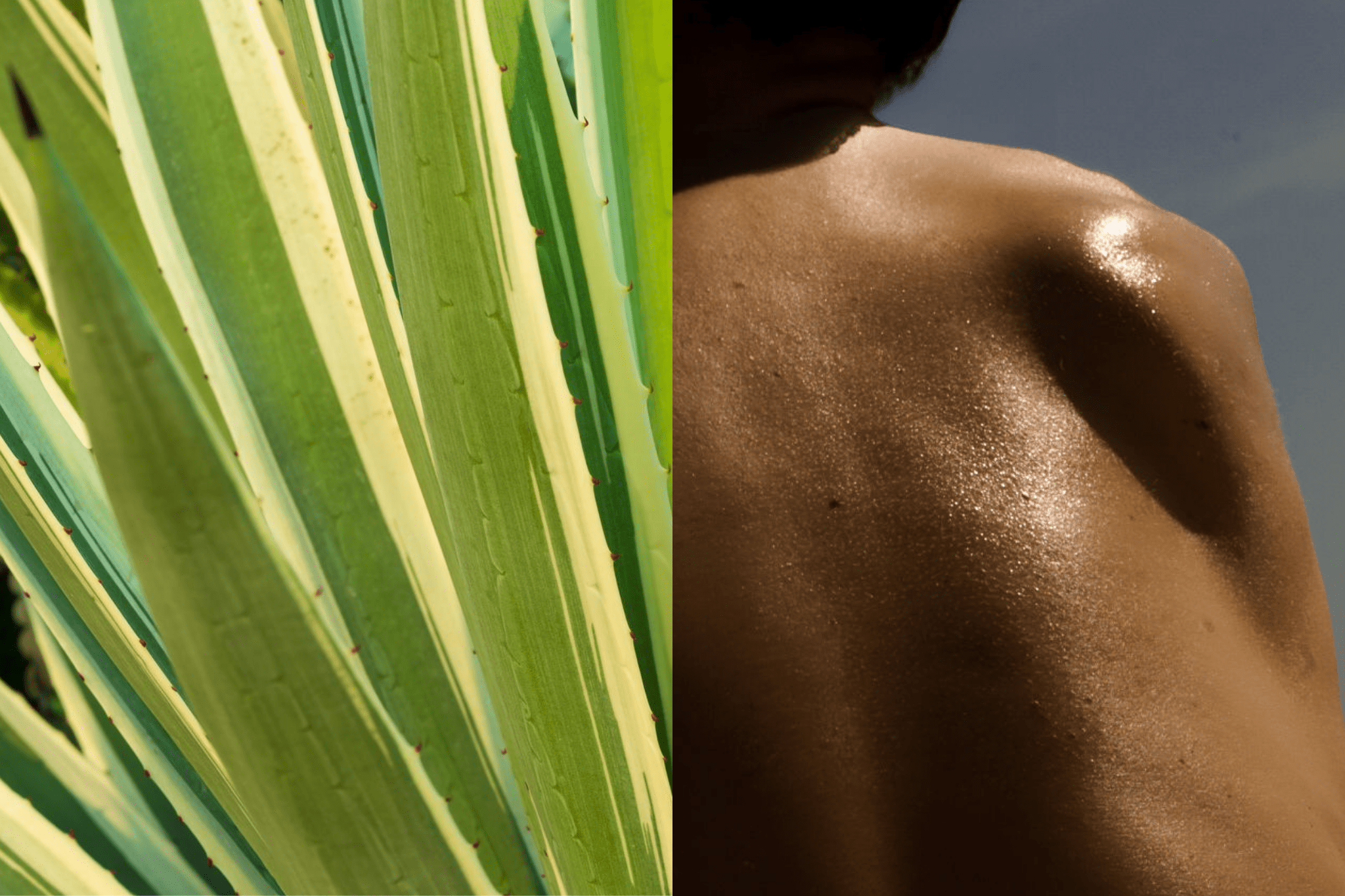 THE BODY BRUSH - L'RITUEL